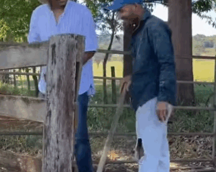 H2213009 Eles tinham melhor chefe mas não souberam valorizar parte 2