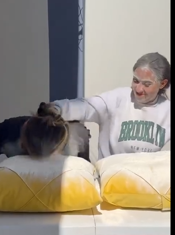 H2409003 Quiz da farinha part2