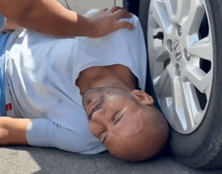 H2513001 Seu temperamento quase lhe custou bem maior parte 2