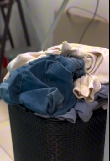 H1806005 Será que toda empregada doméstica precisa lavar roupa part1