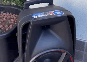 H2705005 Esse homem tinha vida boa, porque sua esposa sustentava apesar de tudo pagava mal part2