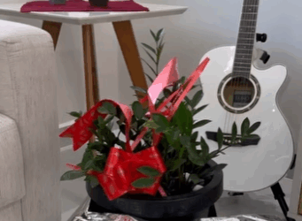 H2903010 Quem pensa que sabe mais sempre acaba perguntando mais cedo ou mais tarde part2