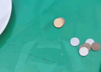 H0215003 Chefe testou bondade de seu empregado part2