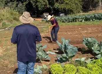 H0702007 Fazendeiro testa honestidade de trabalhadora da grande recompensa por isso! part1