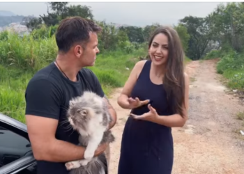 H0304005 Sou motorista de aplicativo no fim da corrida descobri algo terrivel que essa mulher queria fazer com animal! Precisei tomar uma atitude antes do pi0r acontecer part2