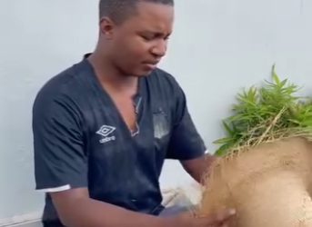 H2006016 Na julgue ningue pela apare ncia part2