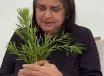 H2306004 Um bom filho nunca abandonaria sua mãe part2