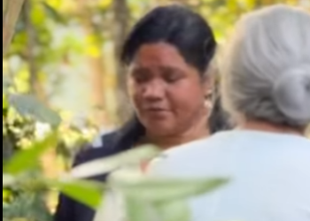 H2903005 Nada seguiu o esperado part2