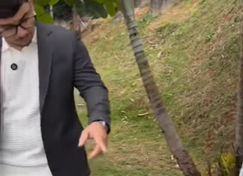 Histórias simples também contam part2