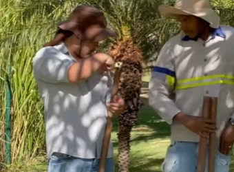 H2917020 Ele pagou um alto preço por ser honesto part2