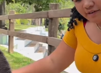 H3119006 Nada fora da rotina part2