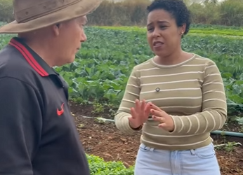 H1014019 Gerente de hortaliça age má fé patrão descobre tudo toma essa atitude! part2