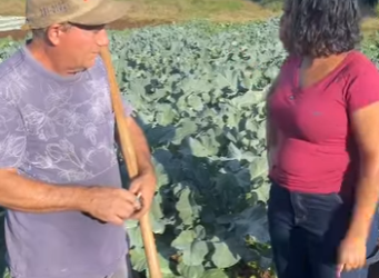 H1814012 Patroa honesta faz assim. valoriza seus trabalhadores! part2