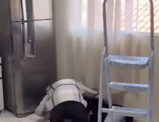 H2310021 O passado voltou com força. part2