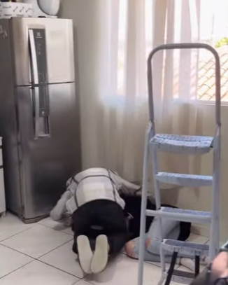 H2310021 O passado voltou com força. part2