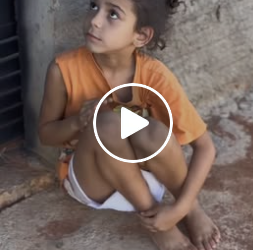 T3902011 Criança surpreende com o presente de Natal que pediu PARTE2