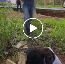 T0800029 Menina perdeu a mãe e procurava uma forma de se alimentar part2