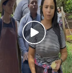 T3902033 A nova proprietária part2