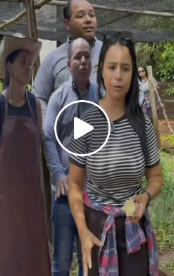 T3902033 A nova proprietária part2