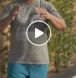 T3902030 A pensão do meu filho que veio de uma outra forma part2