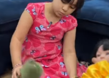 H1203001_Menina foi em busca do pai, mas teve essa surpresa…_part2.mp4