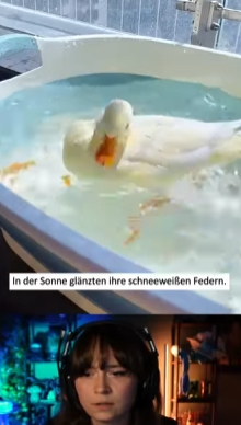 A0529 Followed by a tiny duckling. animalrescue lovestory ducklings fyp part2