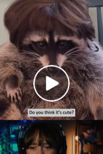 A0502 The lumberjack accidentally destroyed the raccoons home. animalrescue lovestory raccoon fyp part2