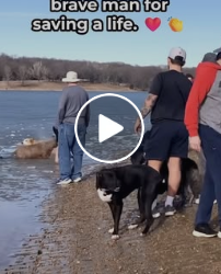 A0230 Walking Straight Into Dark Water Without Hesitation: The Rescue That Left Everyone Speechless 🌊🥺
