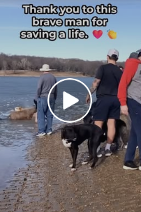 A0230 Walking Straight Into Dark Water Without Hesitation: The Rescue That Left Everyone Speechless 🌊🥺