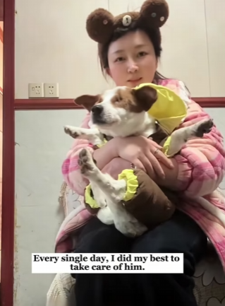 A0511_2 Both Eyes Gone, Tail Up The Courage of a Dog Who Relearned the World_part2