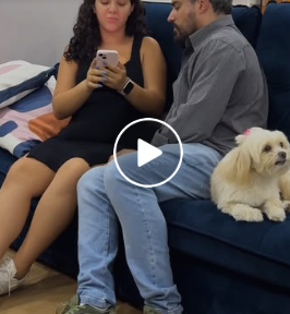 T1301013 Passei meses sonhando em voltar para casa só não imaginei o que me esperava part2