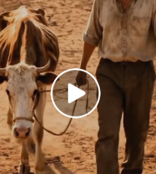 F0115001 ei essa mensagem vai te surpreender, assista ate o final!