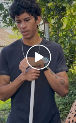 T4601007 Ela achava que mandava em casa até receber uma grande lição part2