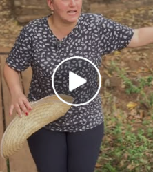 T2206005 Ele só veio pedir perdão part2