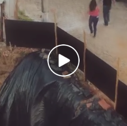 T6229001_Dois Pintores flαgяαм тrαiçãσ em obra em plena luz do dia_part2